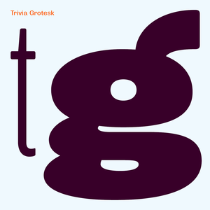 Trivia Grotesk